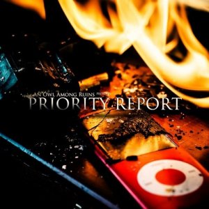 An Owl Among Ruins - Priority Report [Single] (2013)