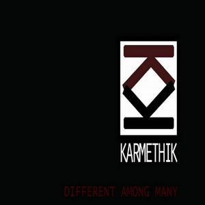 Karmethik - Different Among Many (2013)