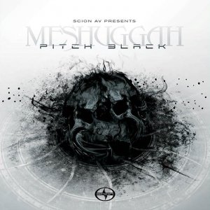 Meshuggah - (1991 - 2013)